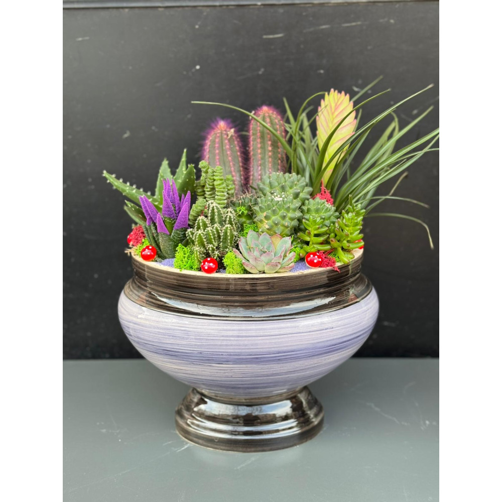 ÖZEL CANLI TERARYUM